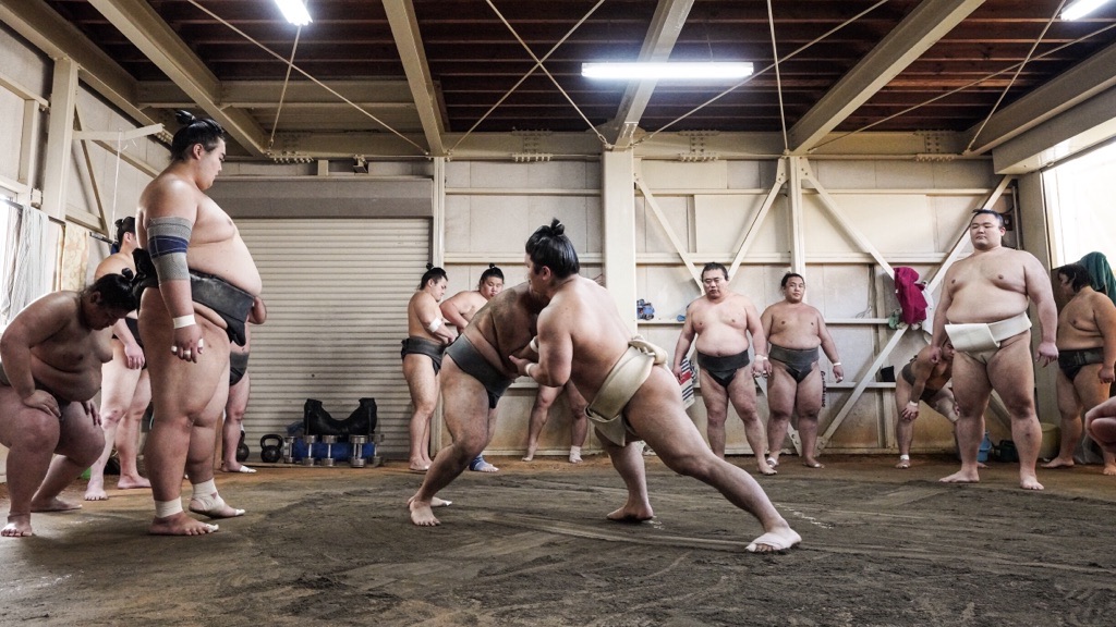 大相撲 大関朝乃山 反物 浴衣生地 2020